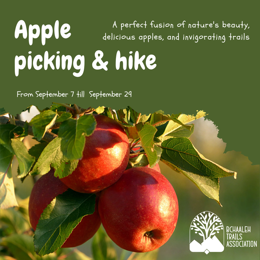 Apple Picking Adventure at Bchaaleh Trails